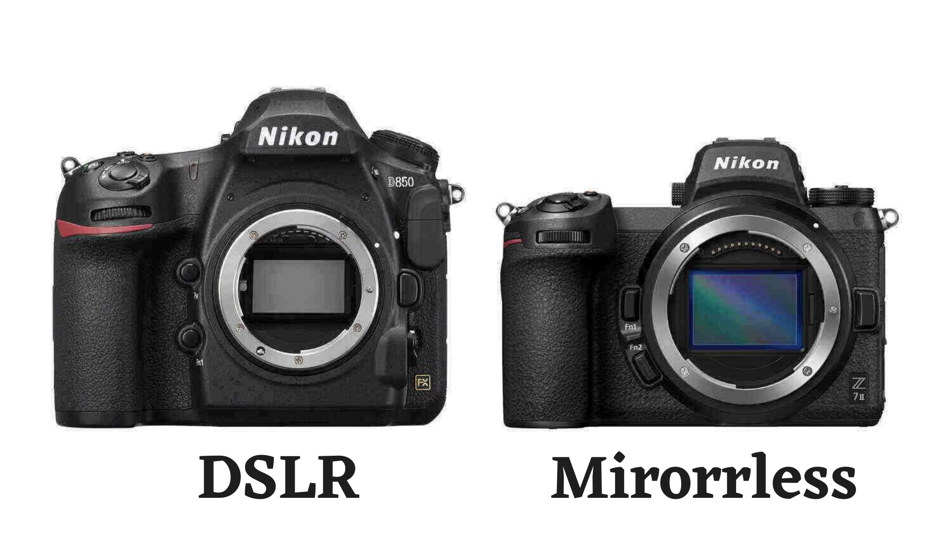 DSLR vs Mirrorless Cameras: Which one is the right choice for you?