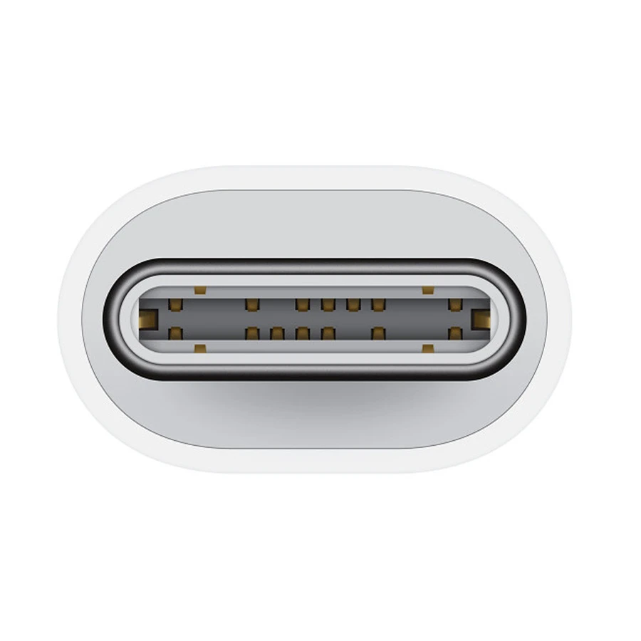 Apple Type-C Male to Lightning Female All Brands Price in Bangladesh