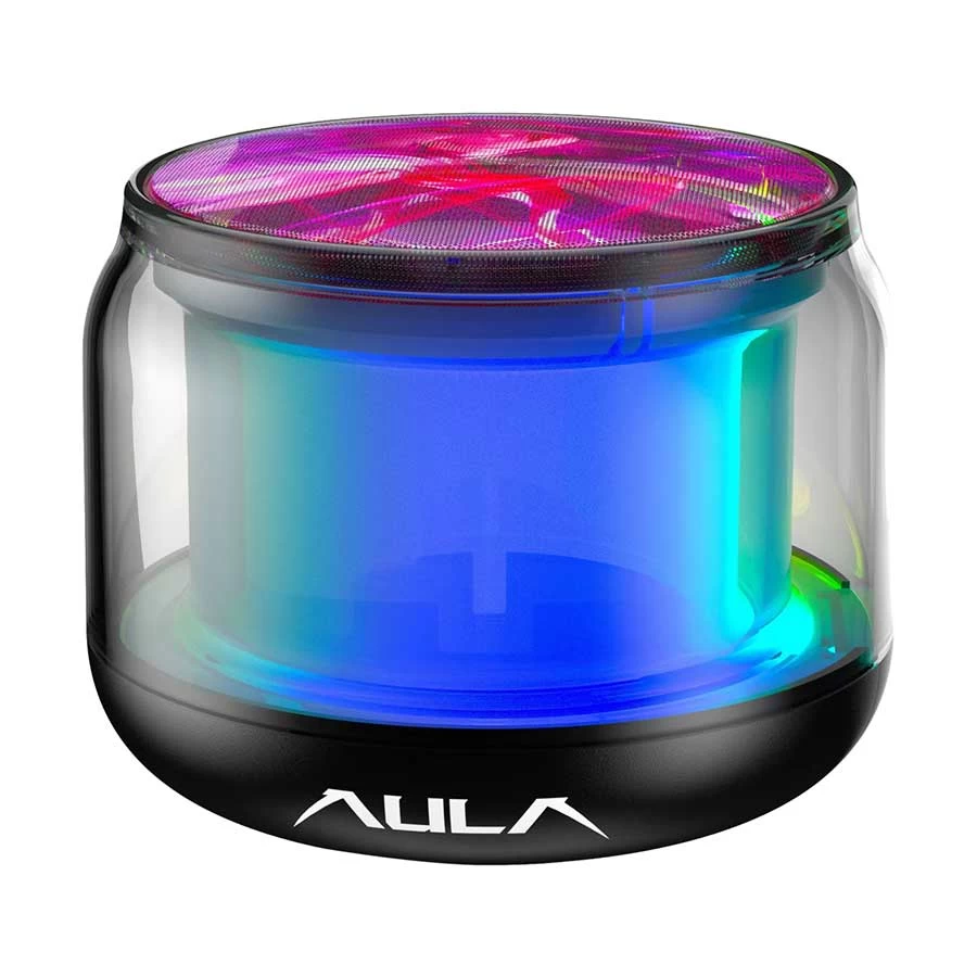 Aula BS302 Speaker