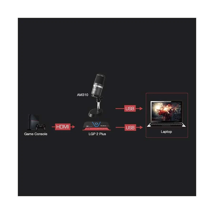 Avermedia AM310 Microphone Price in BD