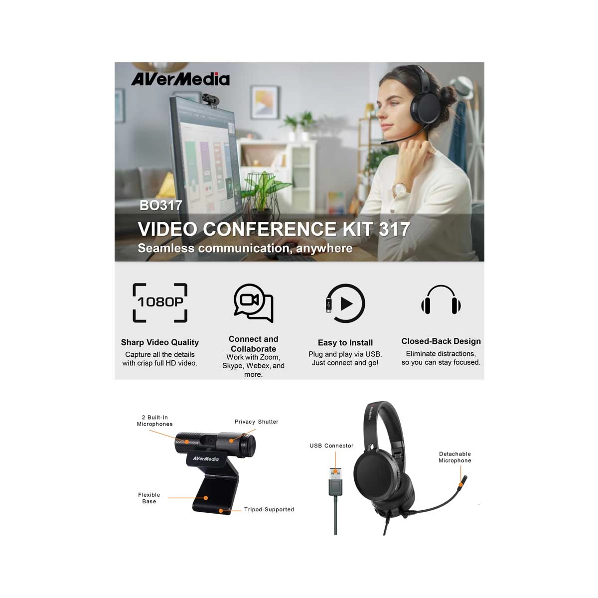 Avermedia BO317 Webcam in BD
