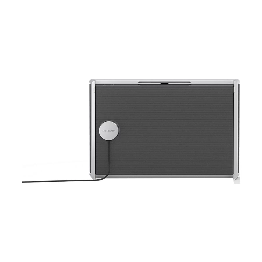 Bang & Olufsen Beosound Level Speaker Best Price