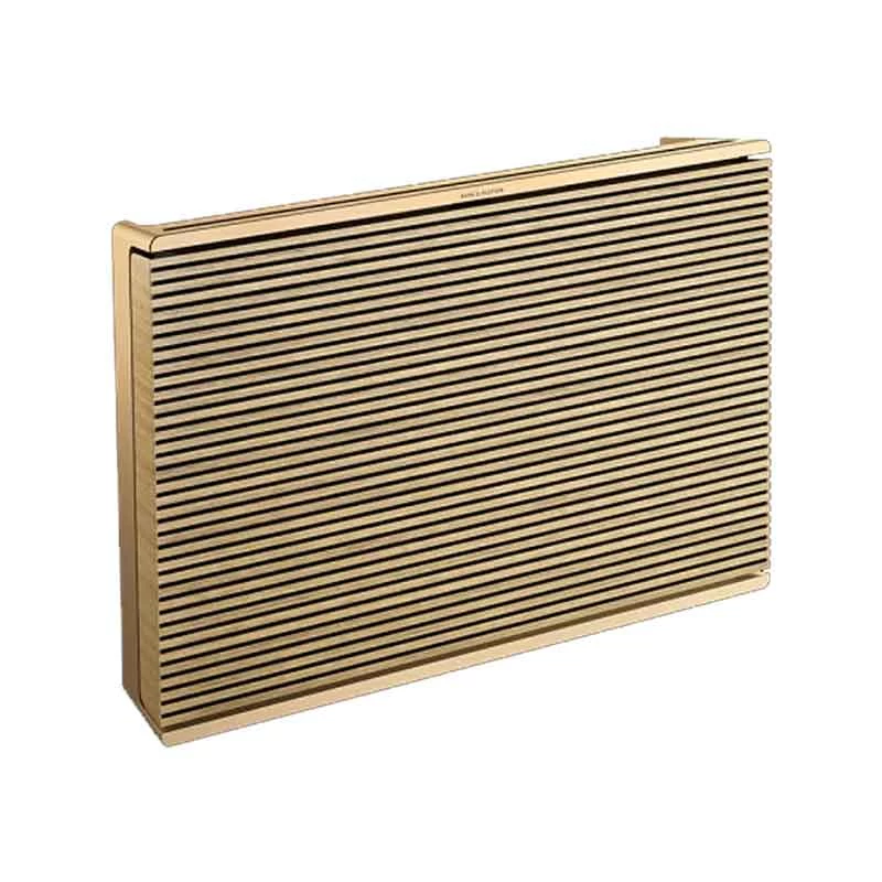 Bang & Olufsen Beosound Level Speaker