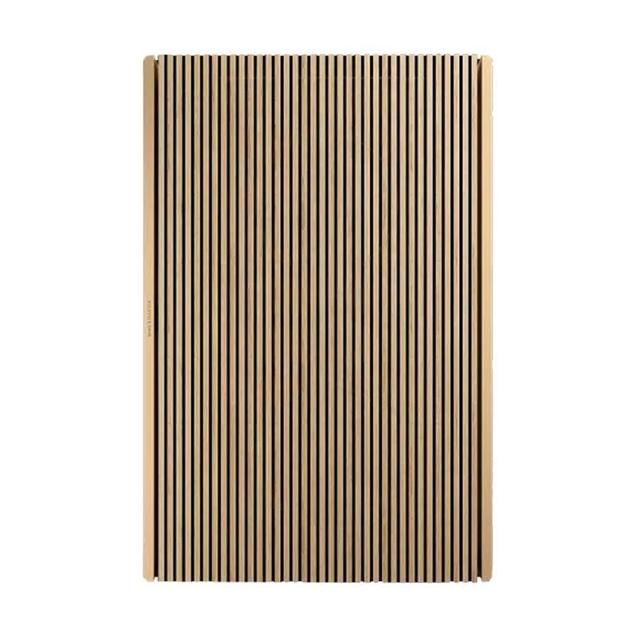 Bang & Olufsen Beosound Level Speaker Price in Bangladesh