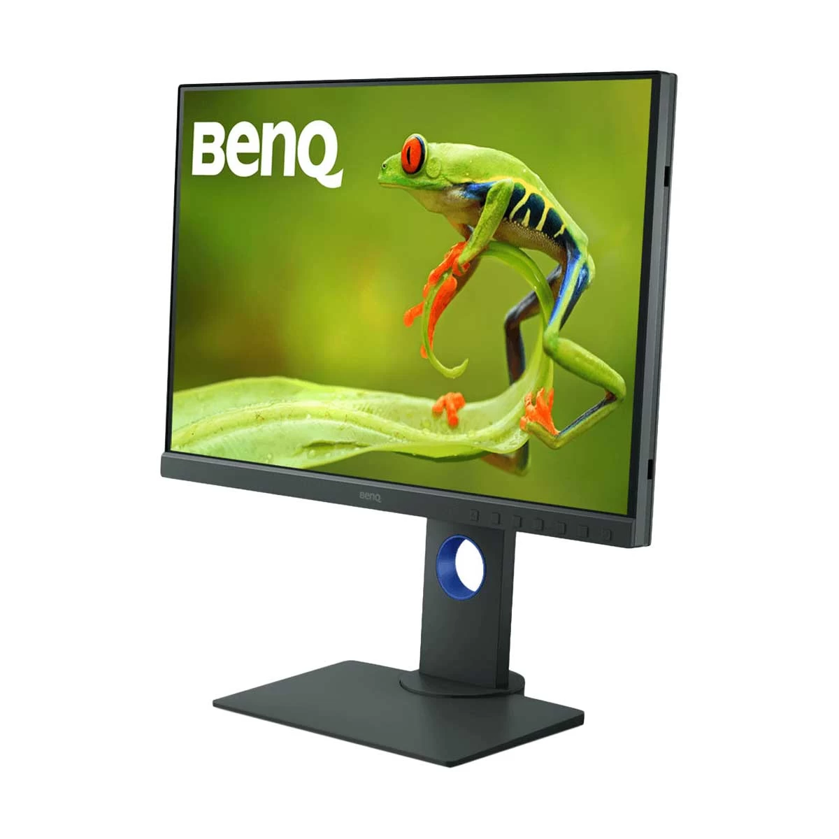 Benq BenQ SW240 Benq Best Price