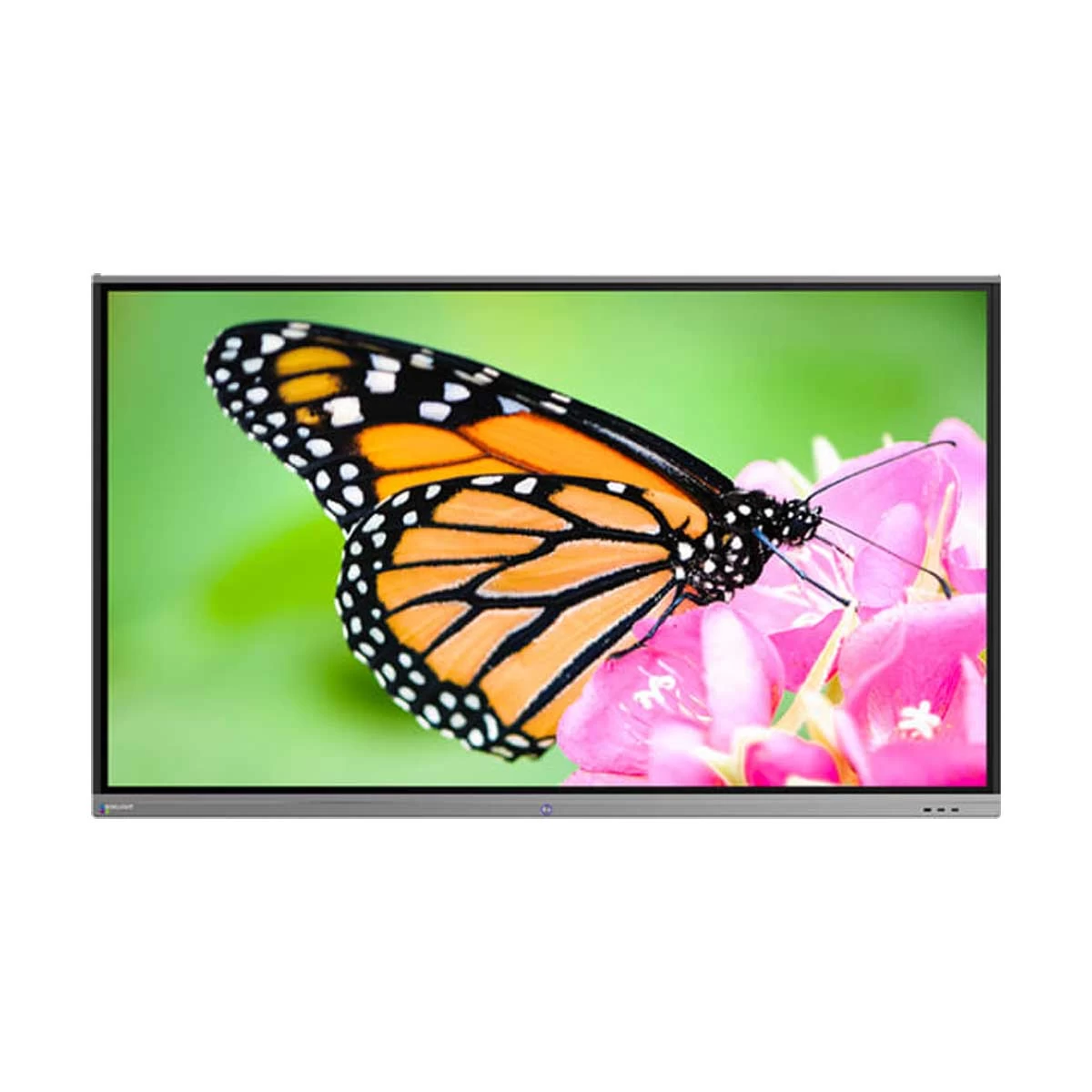 Boxlight PROCOLOR 753U Digital Display
