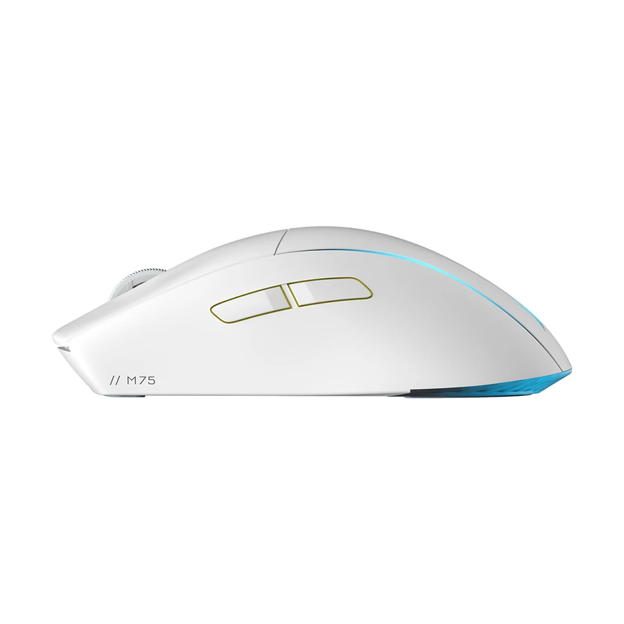 CORSAIR Corsair M75 RGB Mouse Price in Bangladesh