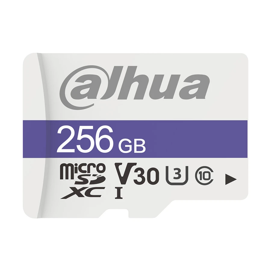 Dahua C100 256GB Memory Card