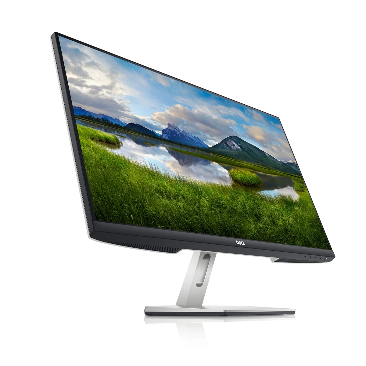 Dell S2421HN All Monitor