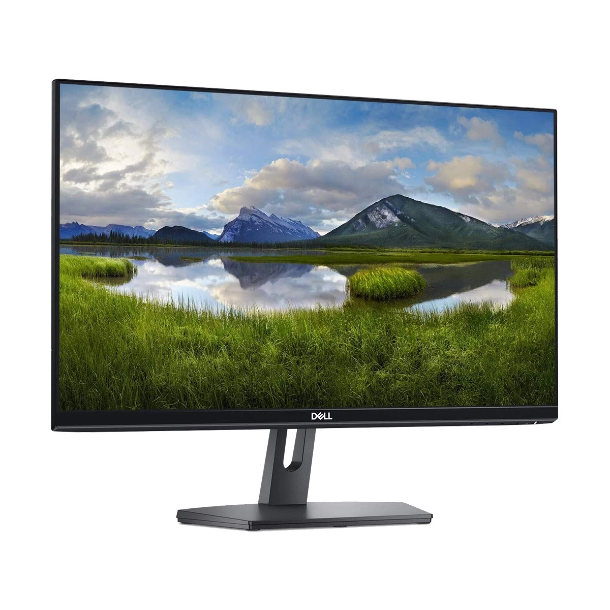 Dell SE2419HR All Monitor in BD