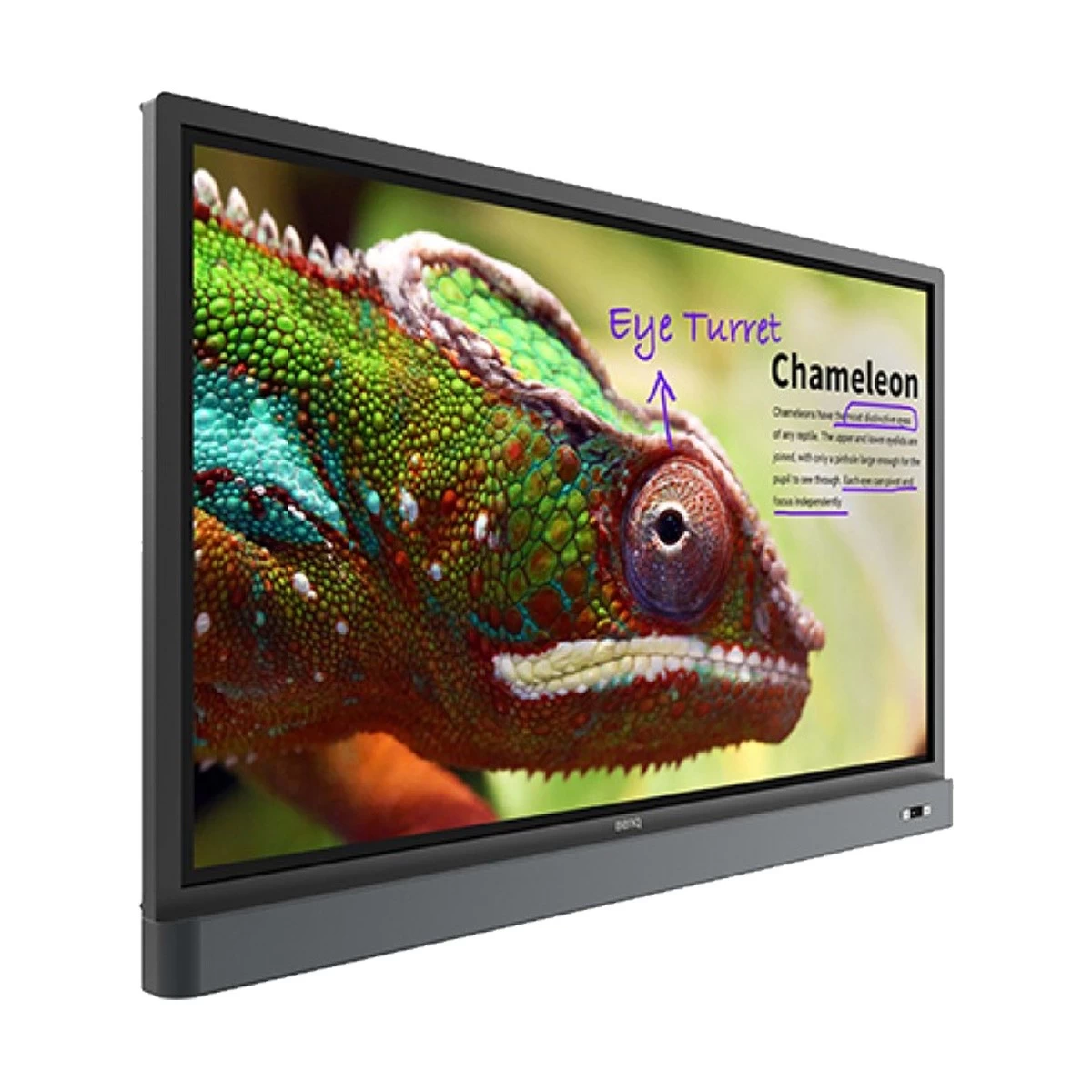 Benq RM5501K Digital Display