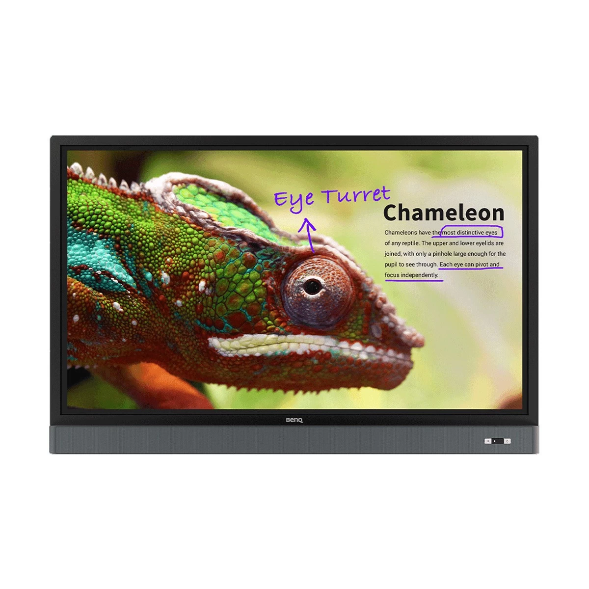 Benq RM5501K Digital Display Price in Bangladesh