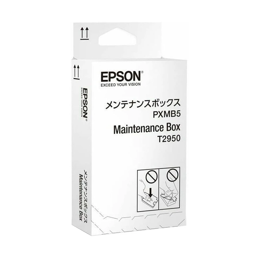 Epson C13T295000 Accessories