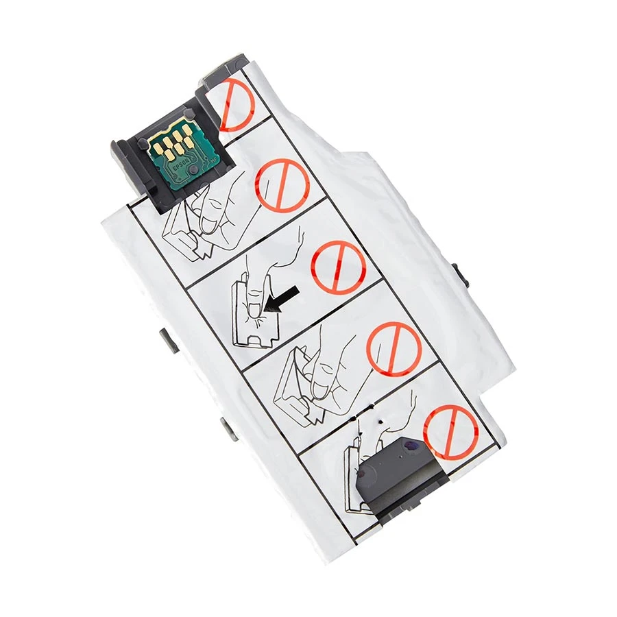 Epson C13T295000 Accessories in BD