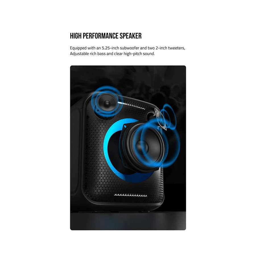 F&D PA100 Speaker Price in BD