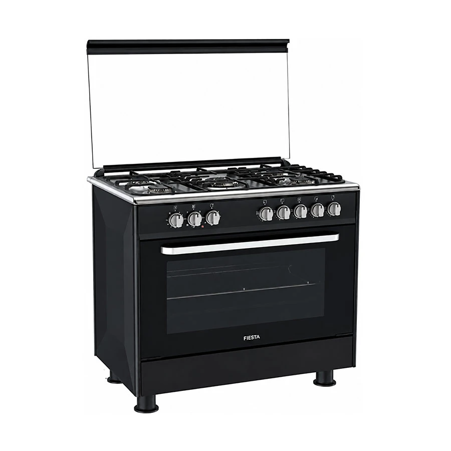 Fiesta FE96G5-SB Oven