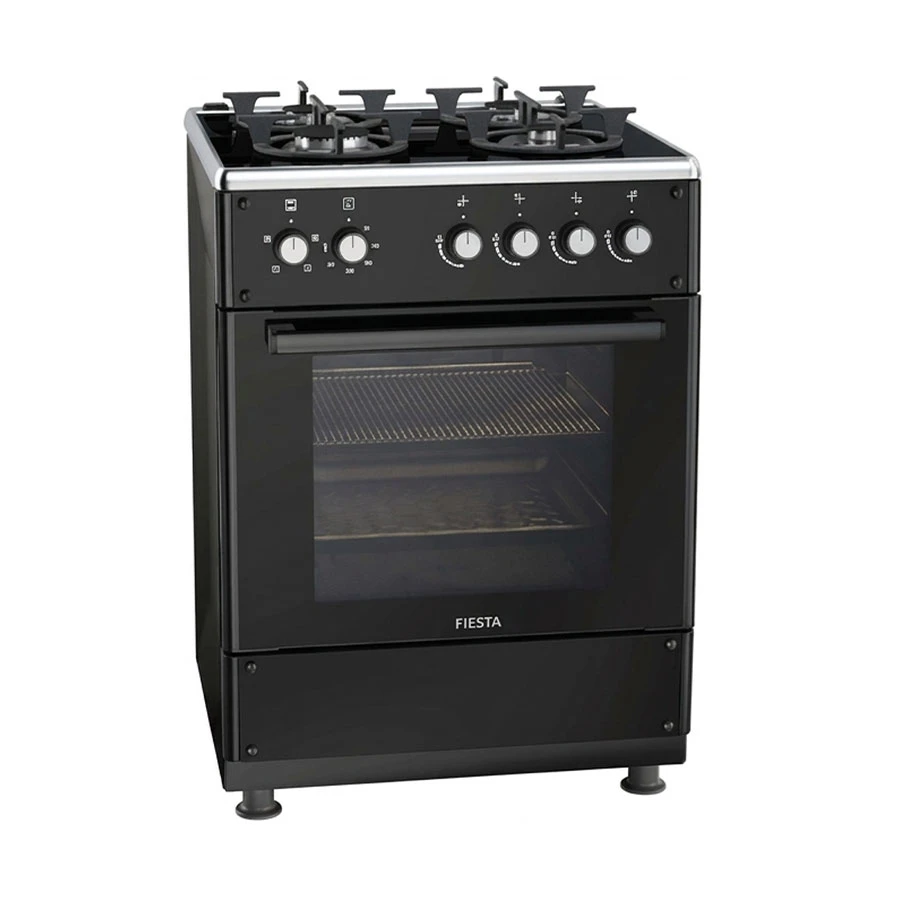 Fiesta FG66G4-E Kitchen