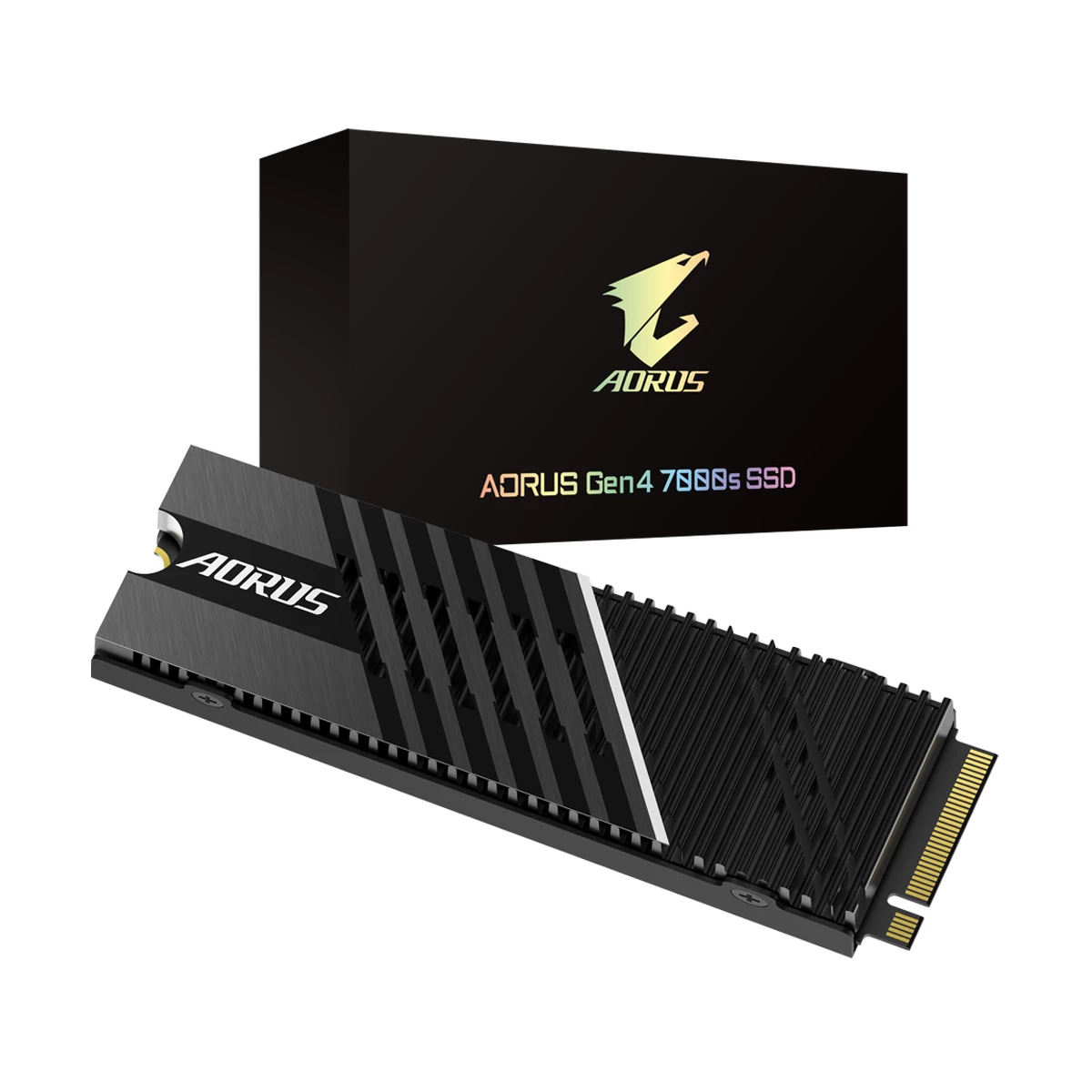 Gigabyte AORUS Gen4 7000s Internal SSD