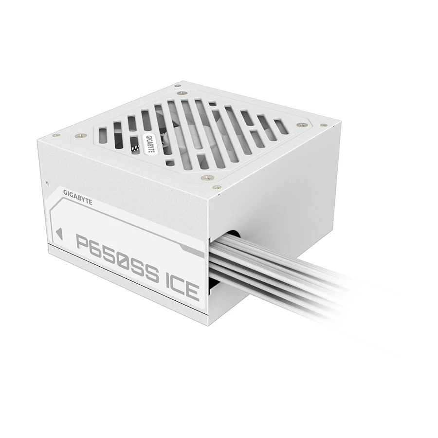 Gigabyte P650SS ICE Power Supply in BD