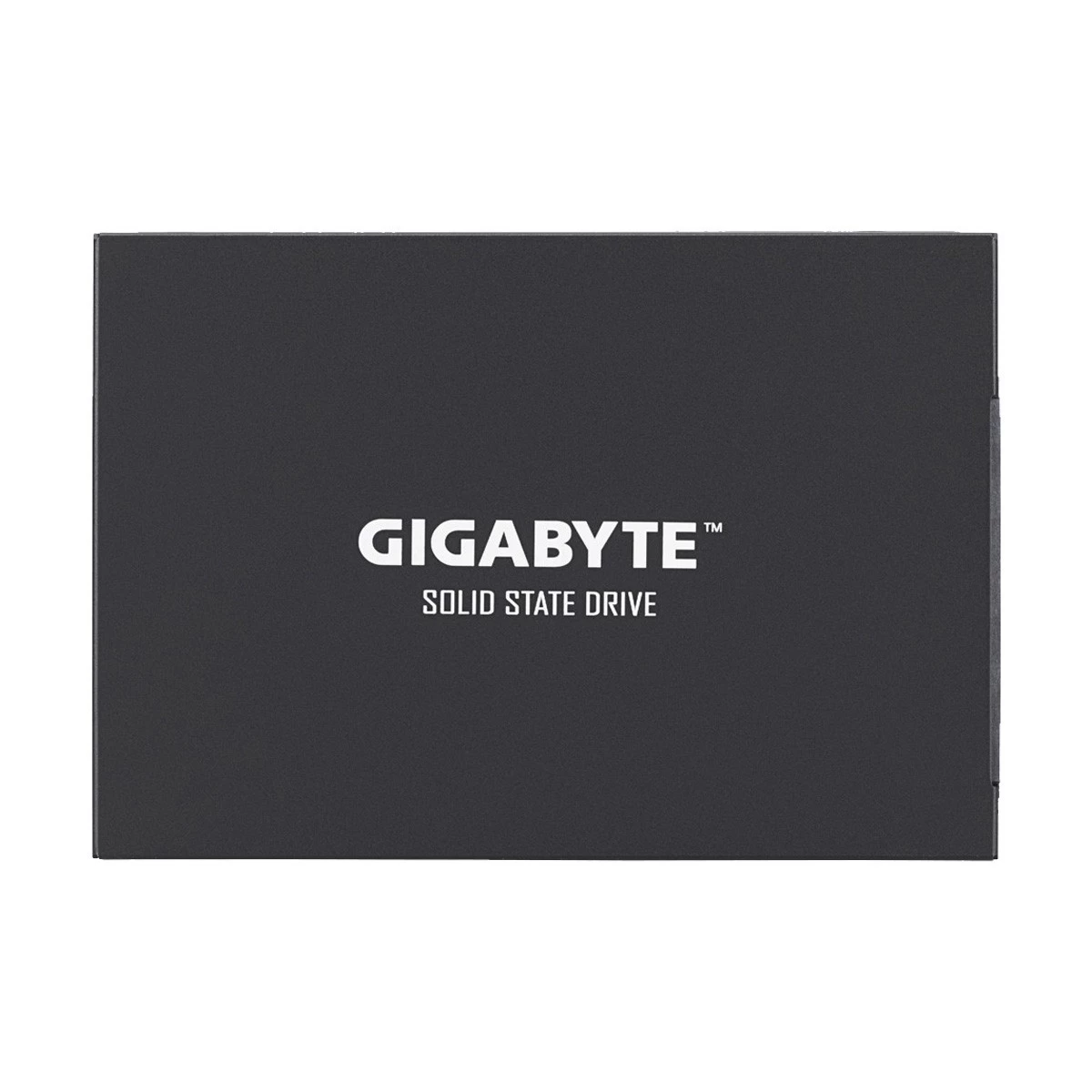 Gigabyte UD Pro Internal SSD