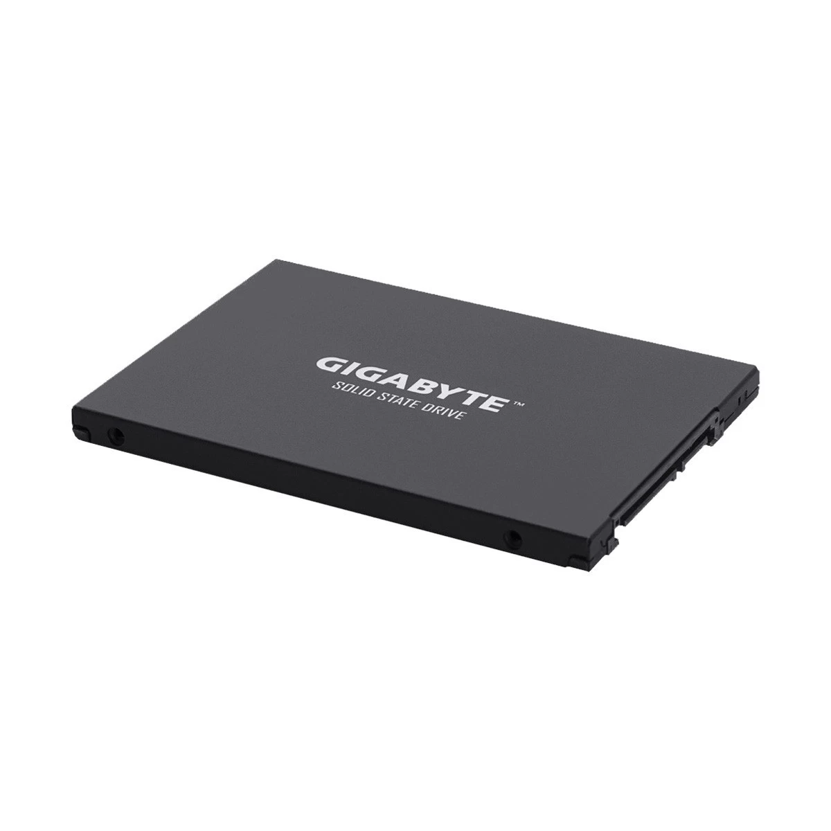 Gigabyte UD Pro Internal SSD in BD