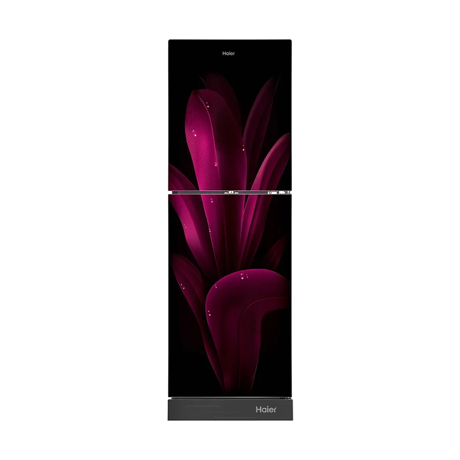 Haier HRF-266EPMC 246L Fridge