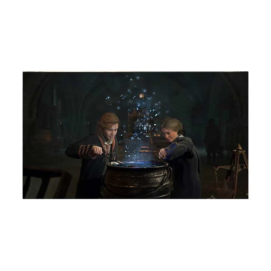 Playstation Hogwarts Legacy Action-Adventure Games in BD