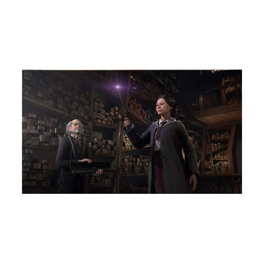 Hogwarts Legacy Action-Adventure Games