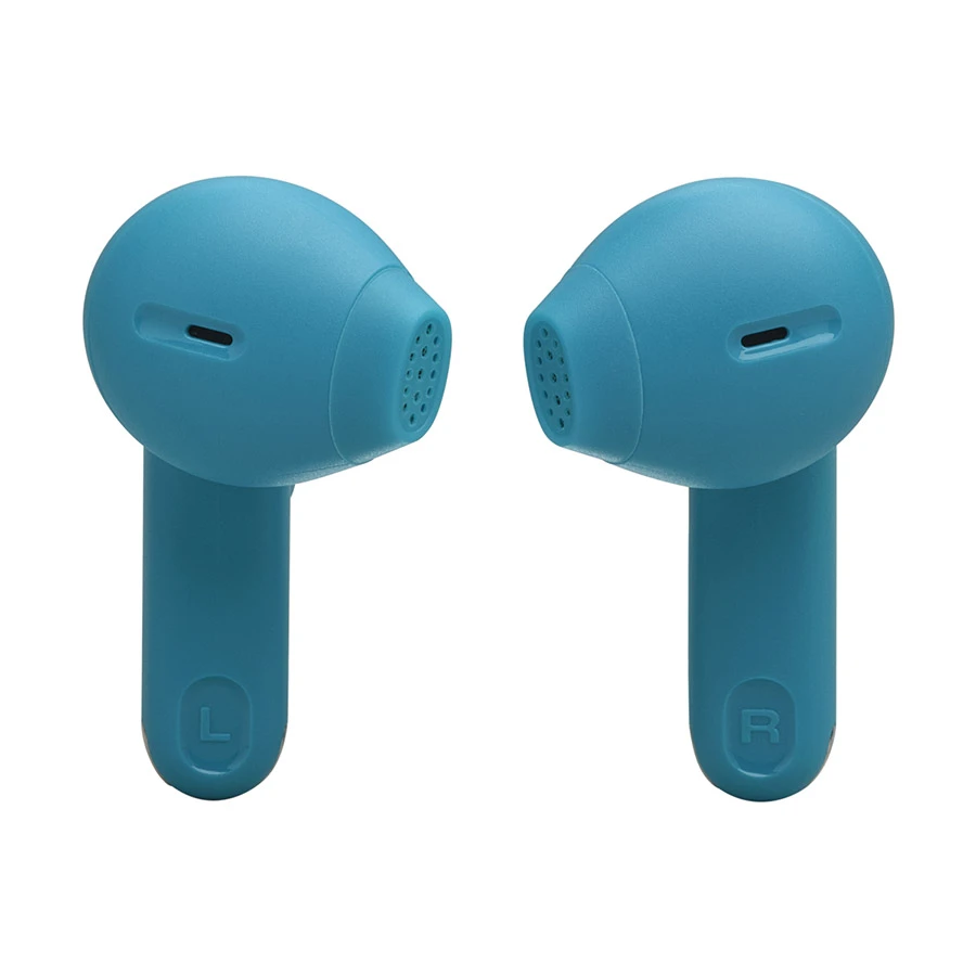 JBL Tune Flex 2 Earbuds