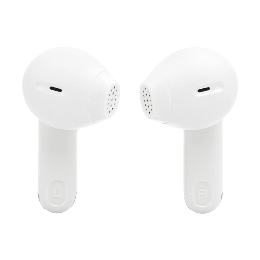 JBL Tune Flex 2 Earbuds