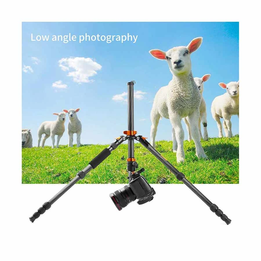K&F Concept SA225C1 DSLR Camera Accessories in BD