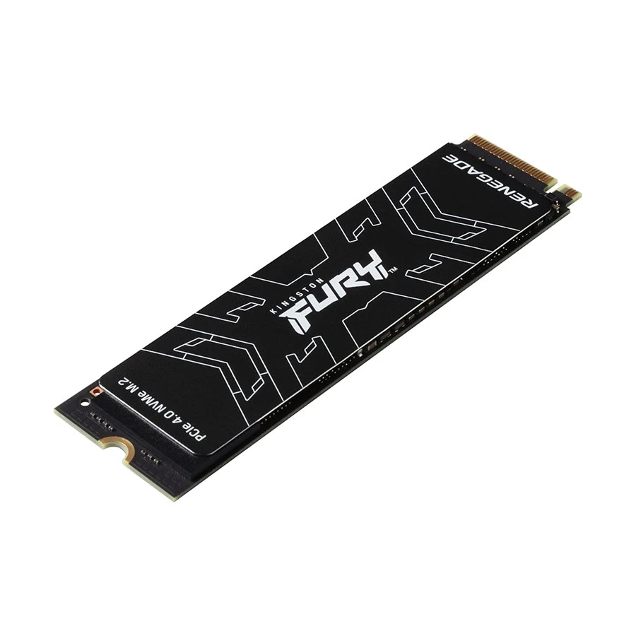 Kingston FURY Renegade 500GB Internal SSD in BD