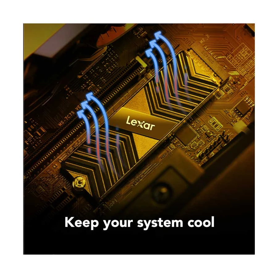 Lexar Professional NM800 Pro Internal SSD in BD