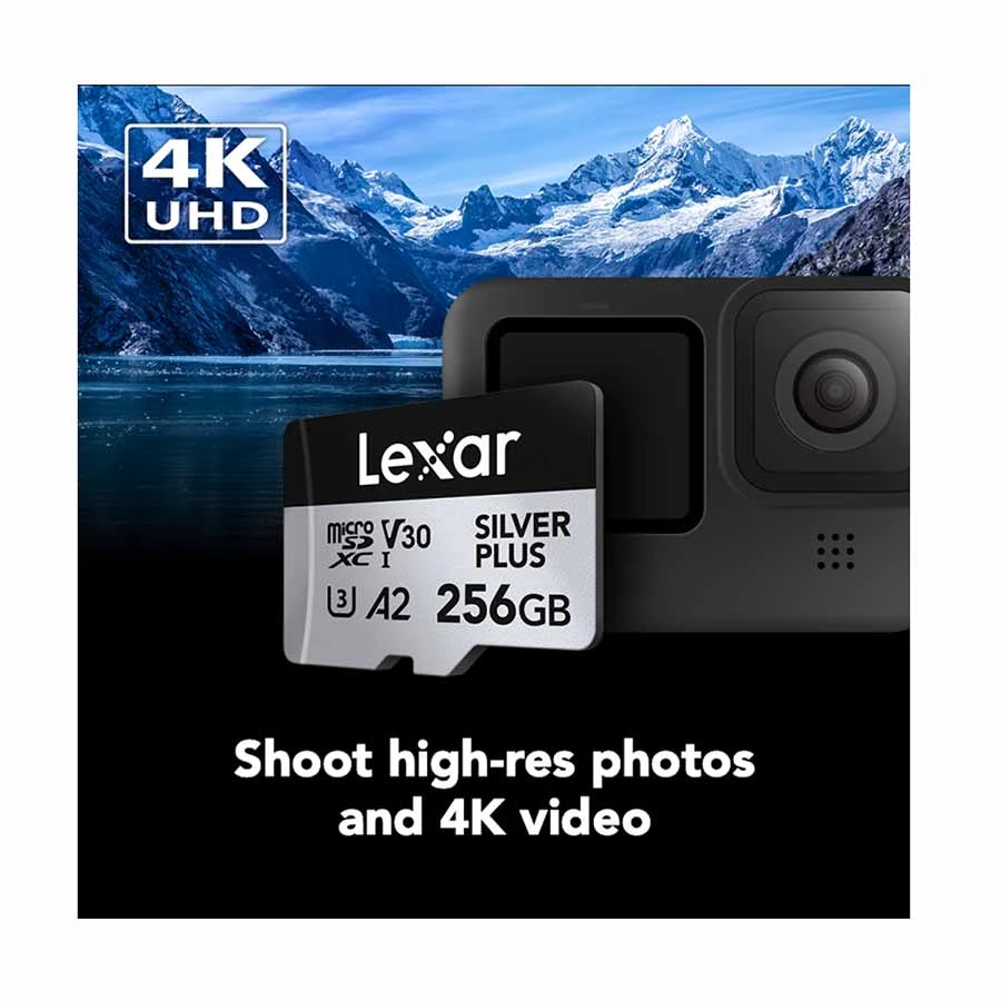 Lexar Professional SILVER PLUS 256GB Memory Card in BD