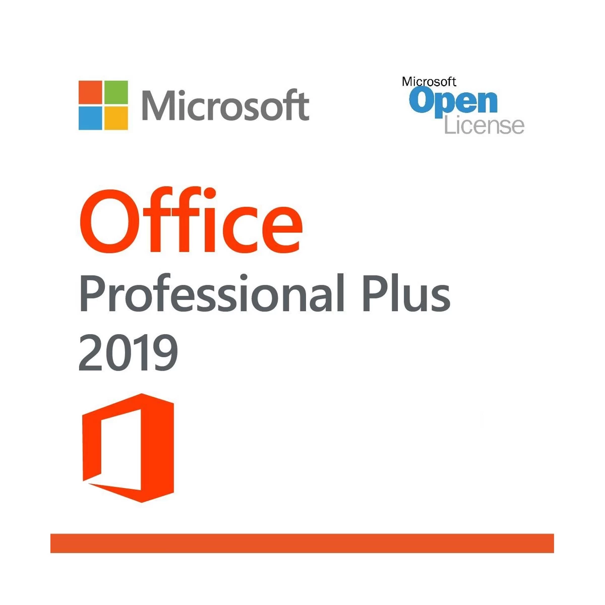 Microsoft Office Pro Plus 2019 Office Application