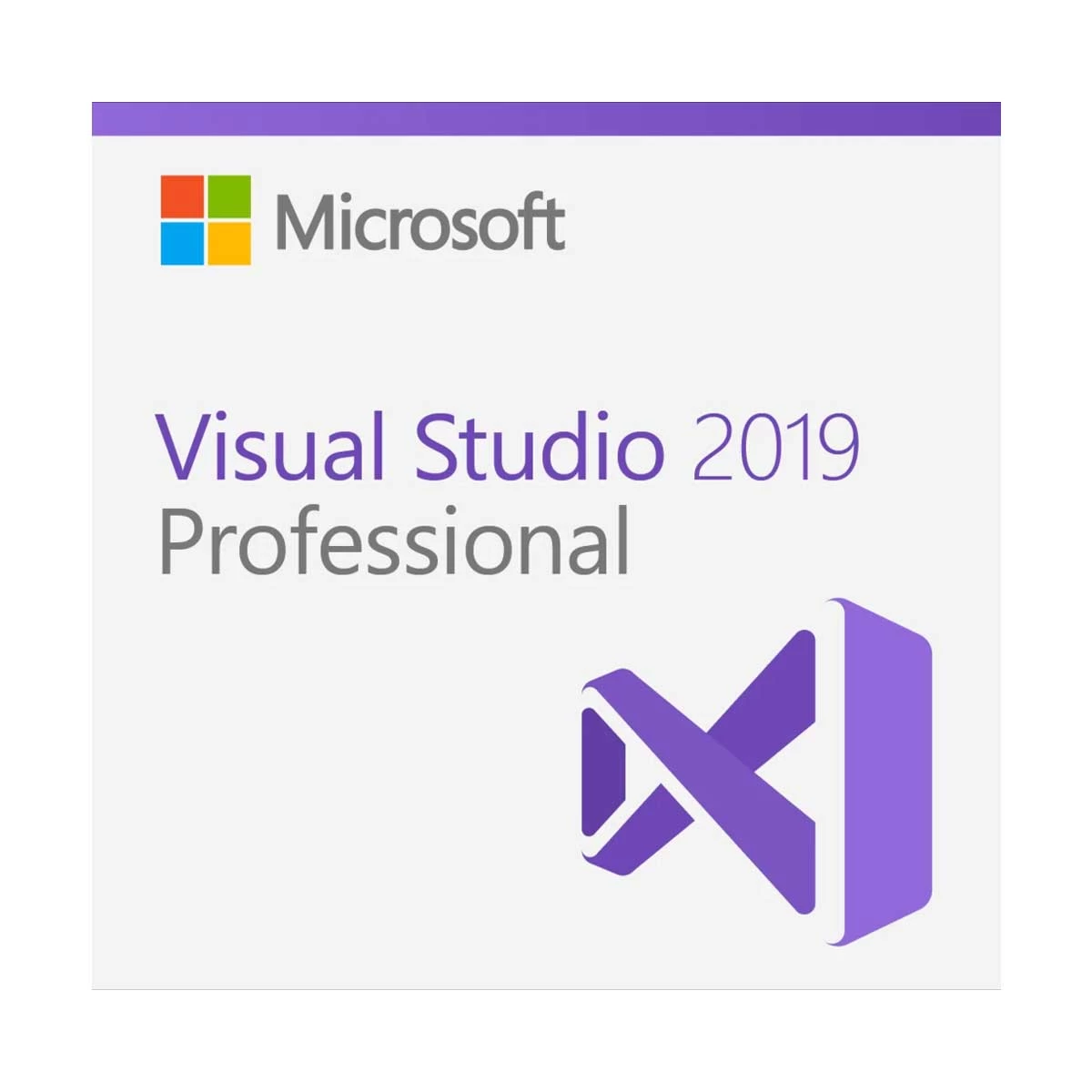 Microsoft Visual Studio Pro 2019 Office Application