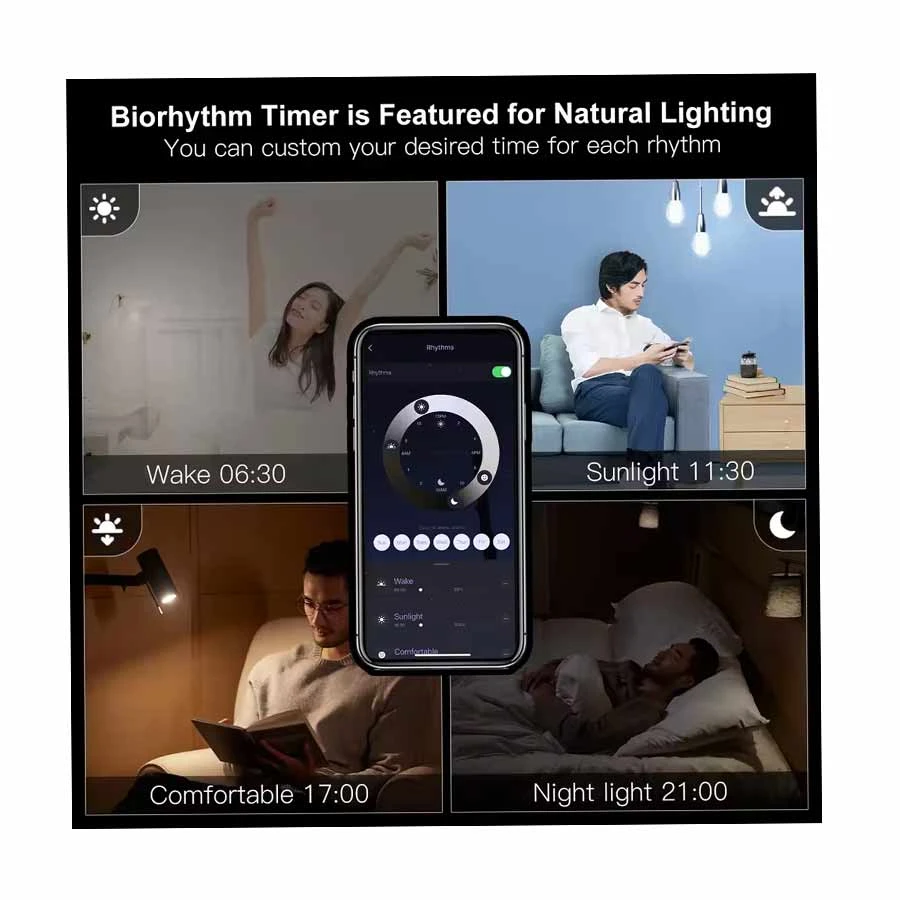 Moes WB-TDA7-F-E27 Light Price in BD