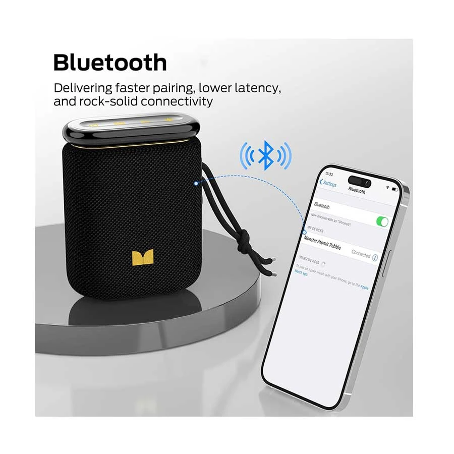 Monster Atomic Pebble Speaker in BD