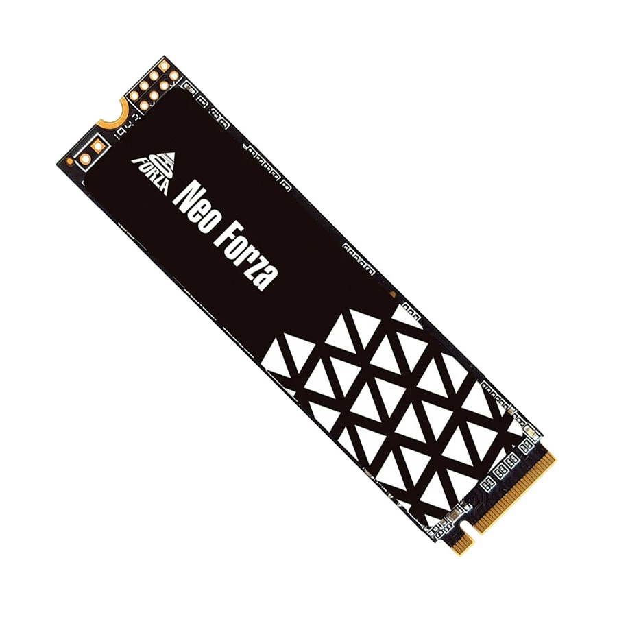 Neo Forza NFP045 256GB Internal SSD in BD