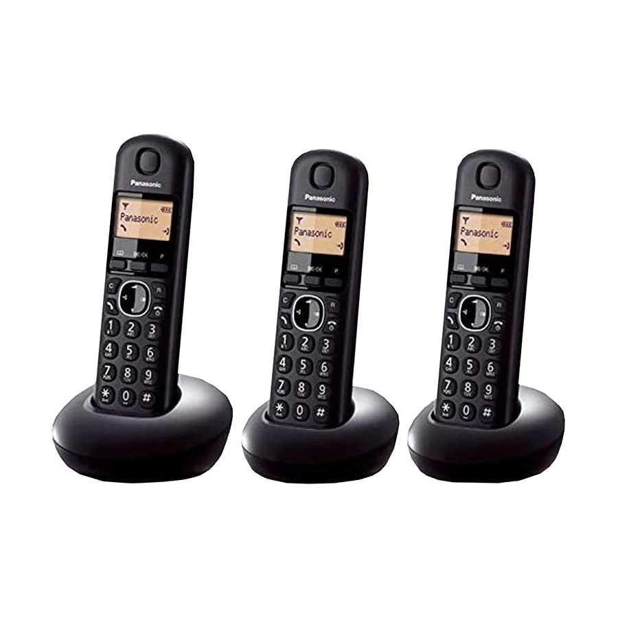 Panasonic KX-TGB213 Land Phone Set