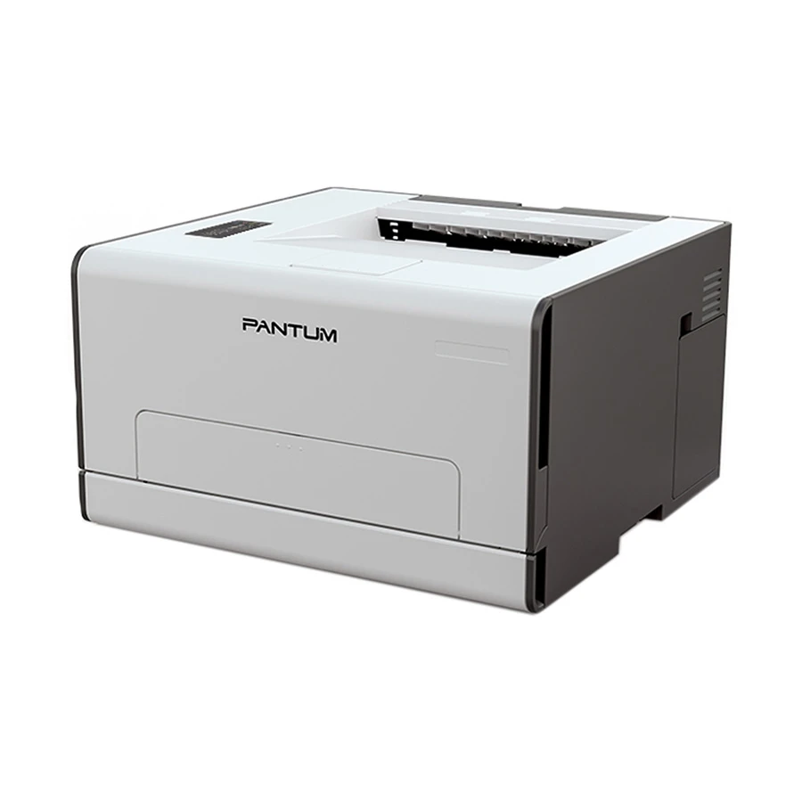 Pantum CP2100D Laser Printer Price in Bangladesh