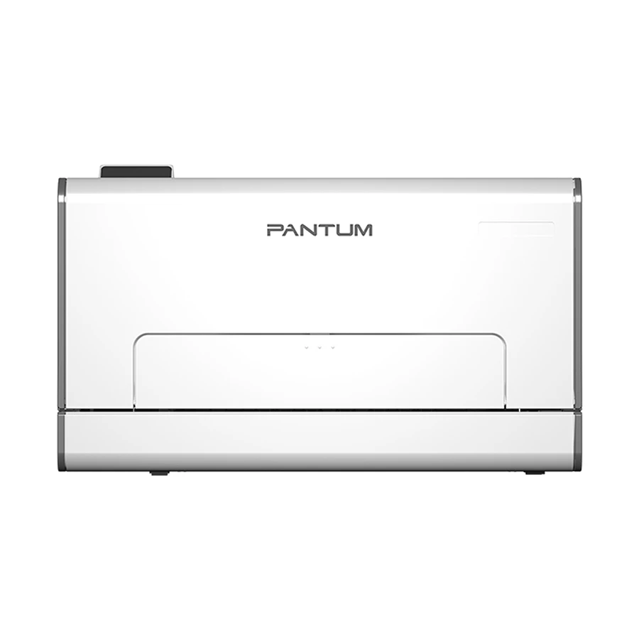 Pantum CP2100DW Document Printer Price in BD