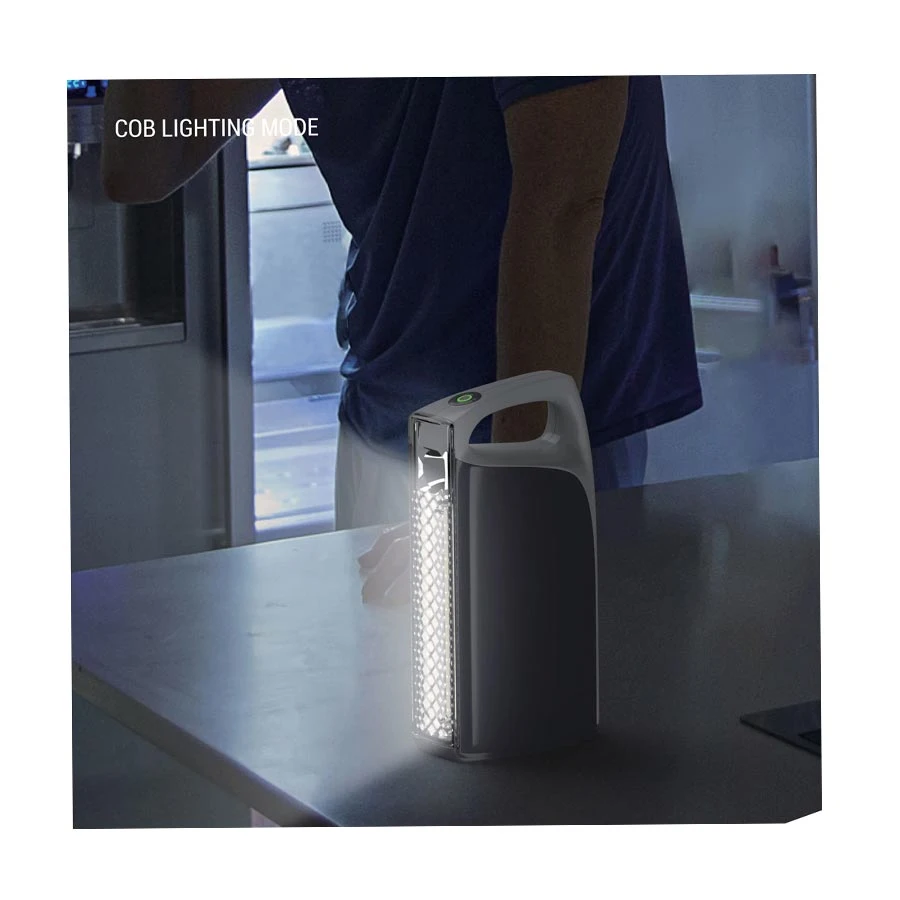 Philips SFL3402 Portable Light Best Price