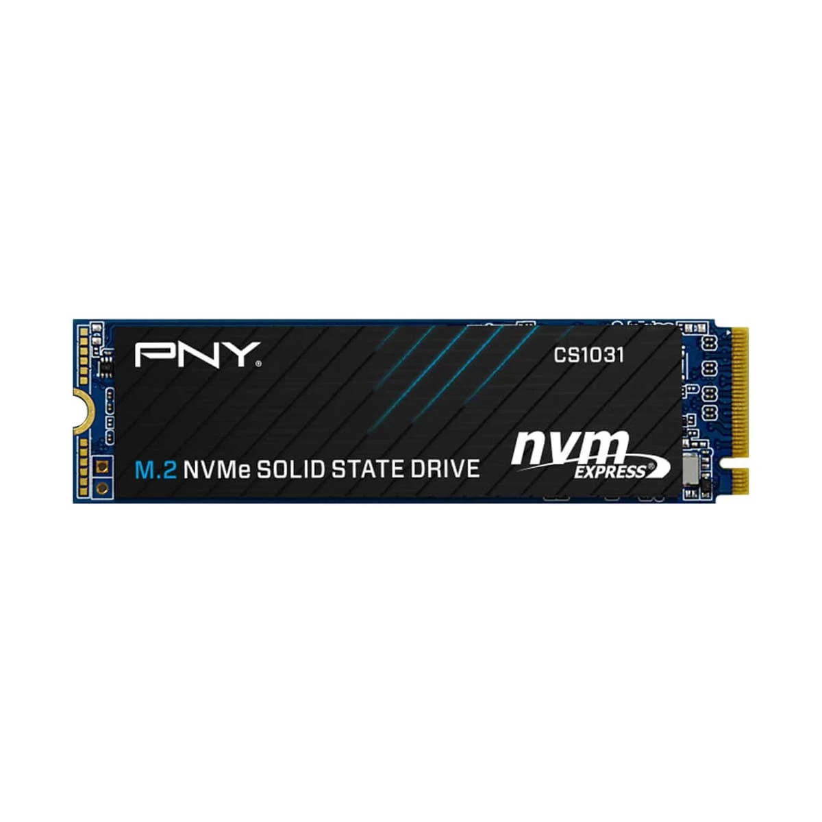 Pny PNY CS1031 Internal SSD Price in Bangladesh