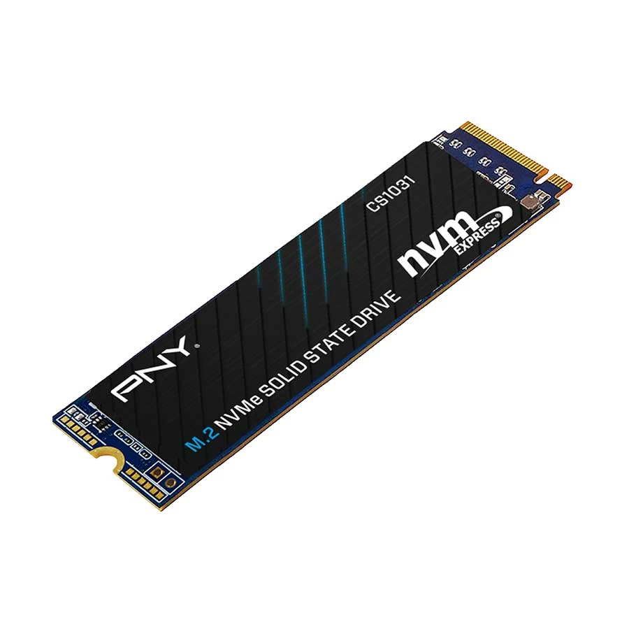 PNY CS1031 Internal SSD Price in Bangladesh