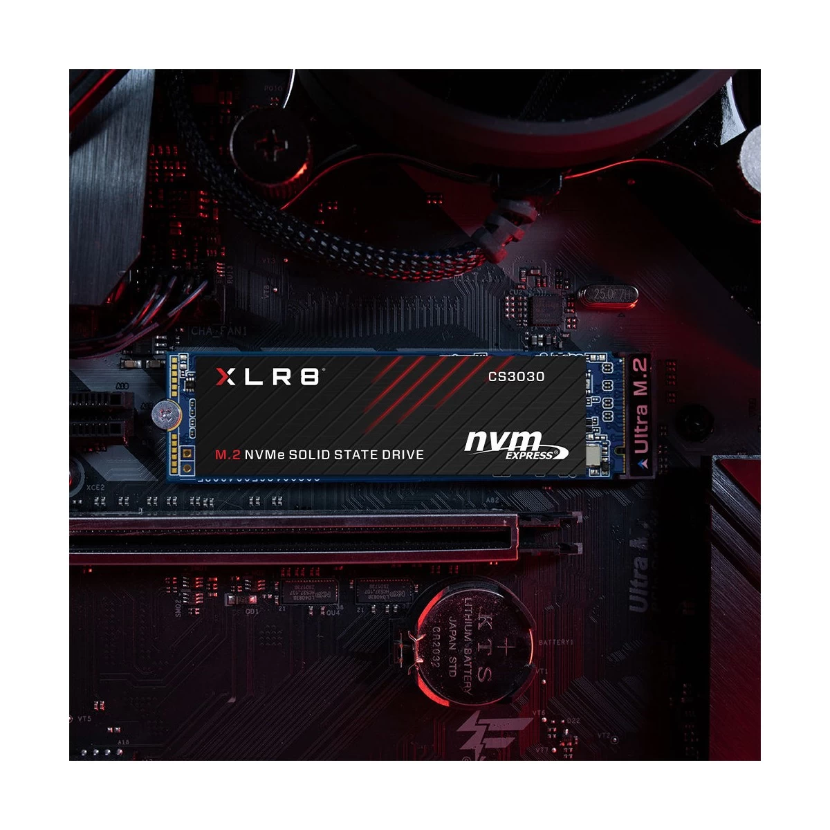 Pny PNY CS3030 Internal SSD in BD