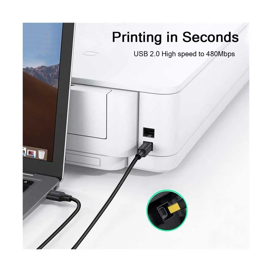 QGeeM Qgeem USB Type-A Male to Type-B USB Cable Best Price