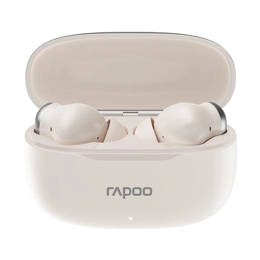 Rapoo T100 Earbuds