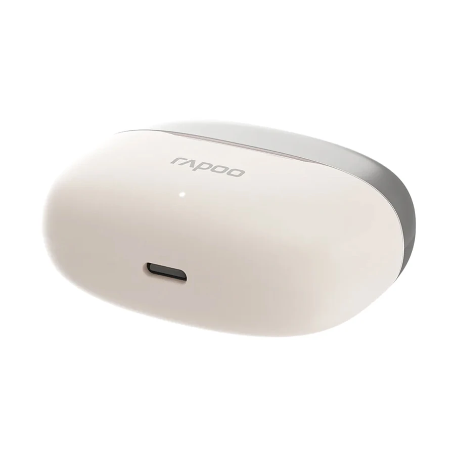 Rapoo T100 Earbuds Price in BD