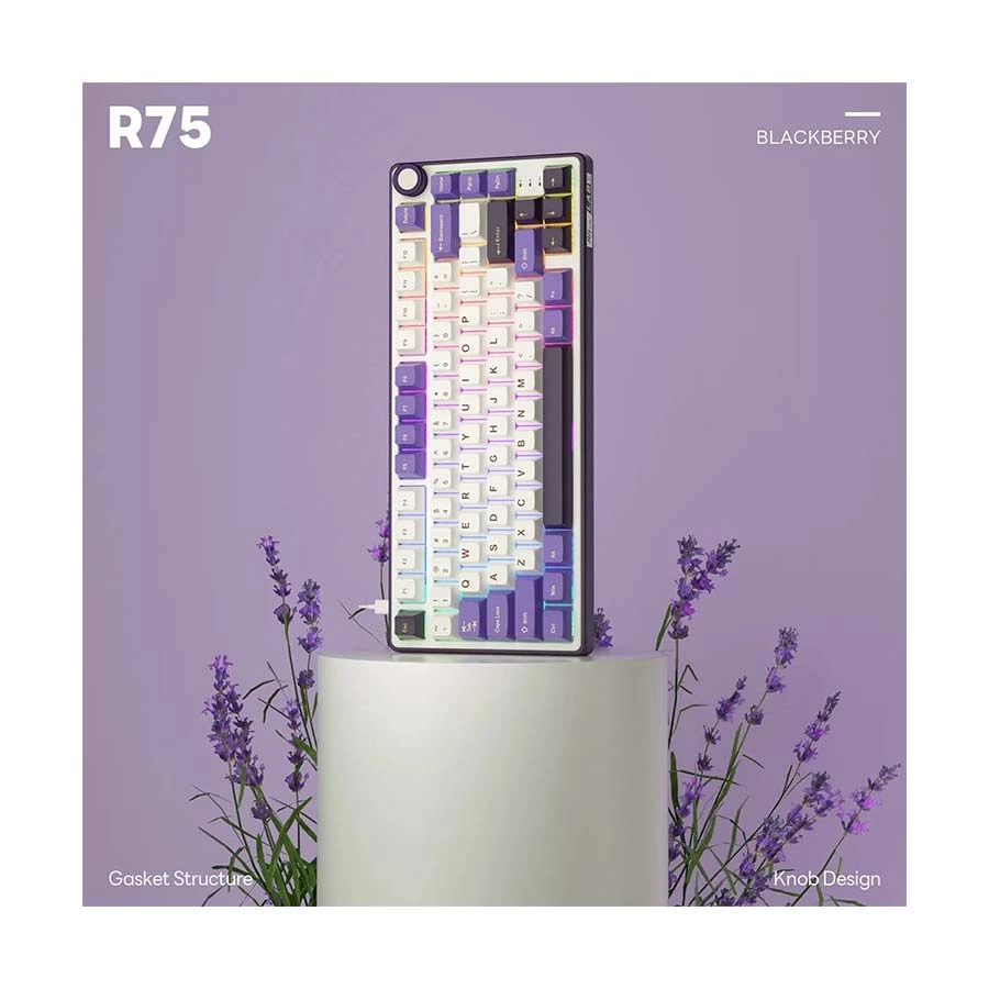 Royal Kludge RK R75 Keyboard in BD